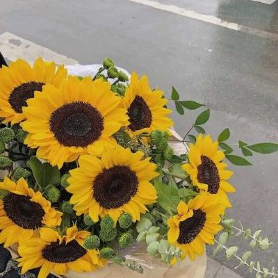 星空体育官方网站app下载