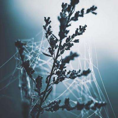 亚博app(中国)官方网站app下载截图