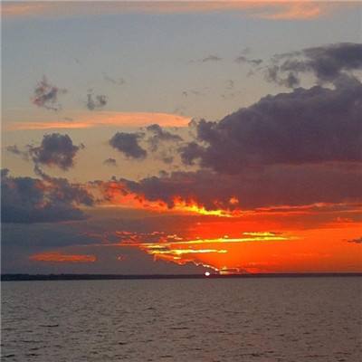 华体会体育下载手机版截图