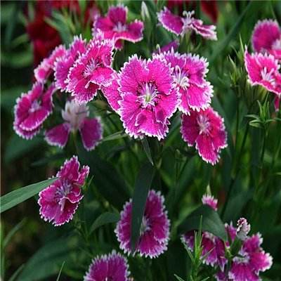 半岛·综合体育手机app下载