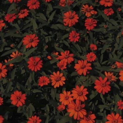 万博(ManBetx)下载手机版