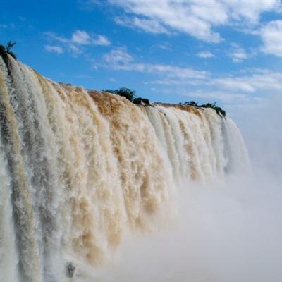 bob·体育综合app下载手机版