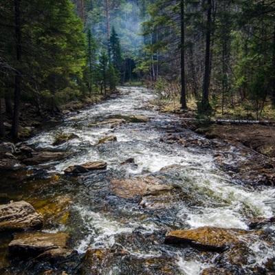 易倍手机app下载